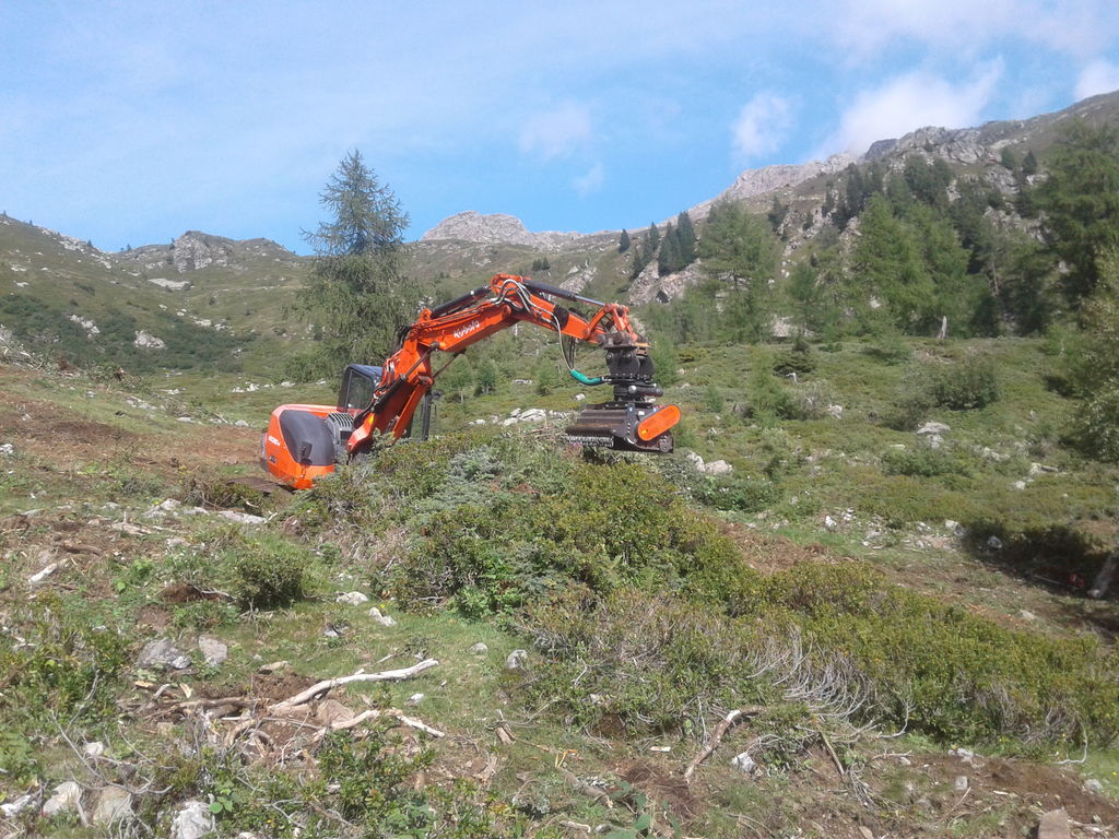 Weidesanierung Lavazzé Sommer 2019